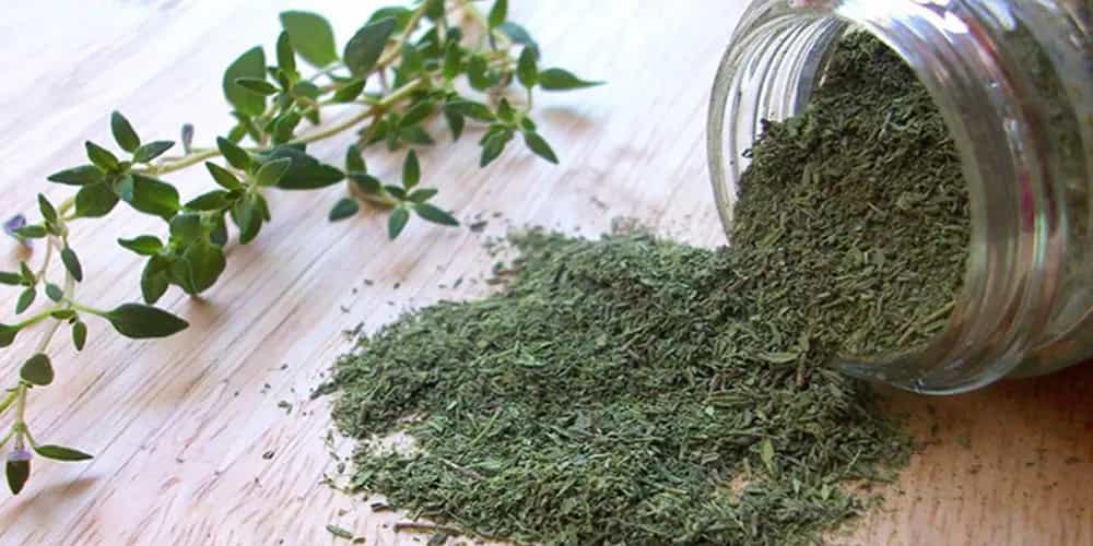 قیمت خرید آویشن باغی خشک عمده به صرفه و ارزان