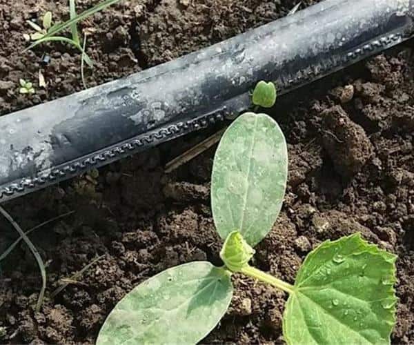 قیمت خرید نوار تیپ جدید عمده به صرفه و ارزان