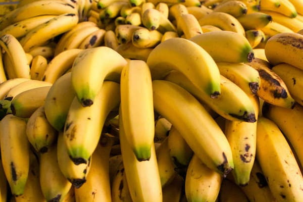 خرید موز چابهار + قیمت فروش استثنایی