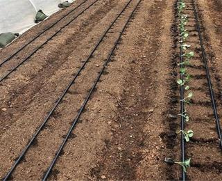 خرید و قیمت نوار تیپ چسبی + فروش صادراتی