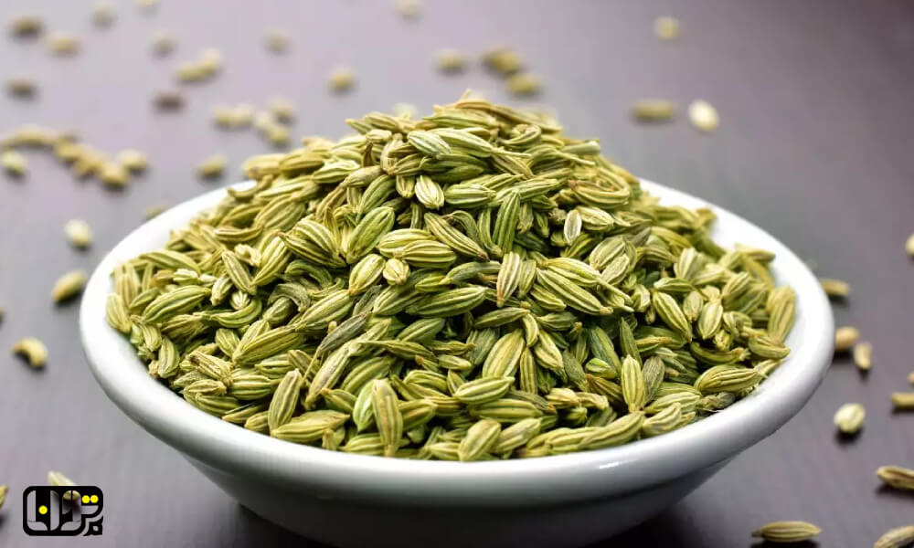 تخفیف همکاری برای قراردادهای بیش از ۱۰ تُن زیره سبز صادراتی