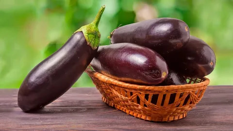 تصویر 1 از خرید و قیمت بادمجان قلمی سیاه + فروش صادراتی