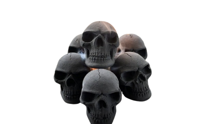 قیمت زغال قلیان اسکلتی با کیفیت ارزان + خرید عمده