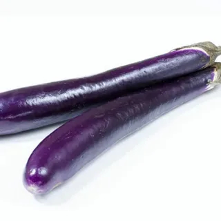 تصویر 2 از قیمت بادمجان قلمی ژاپنی با کیفیت ارزان + خرید عمده