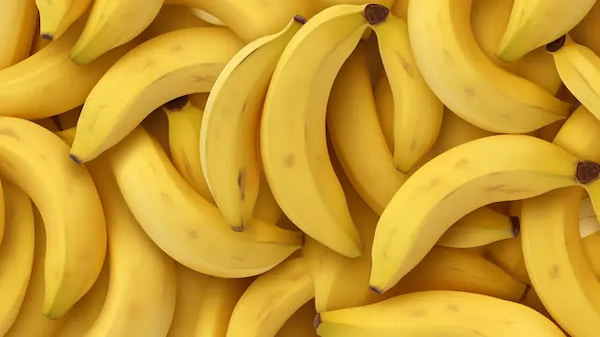 فروش موز اکوادور + قیمت خرید به صرفه