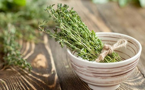 تصویر 4 از خرید آویشن شیرازی + قیمت فروش استثنایی