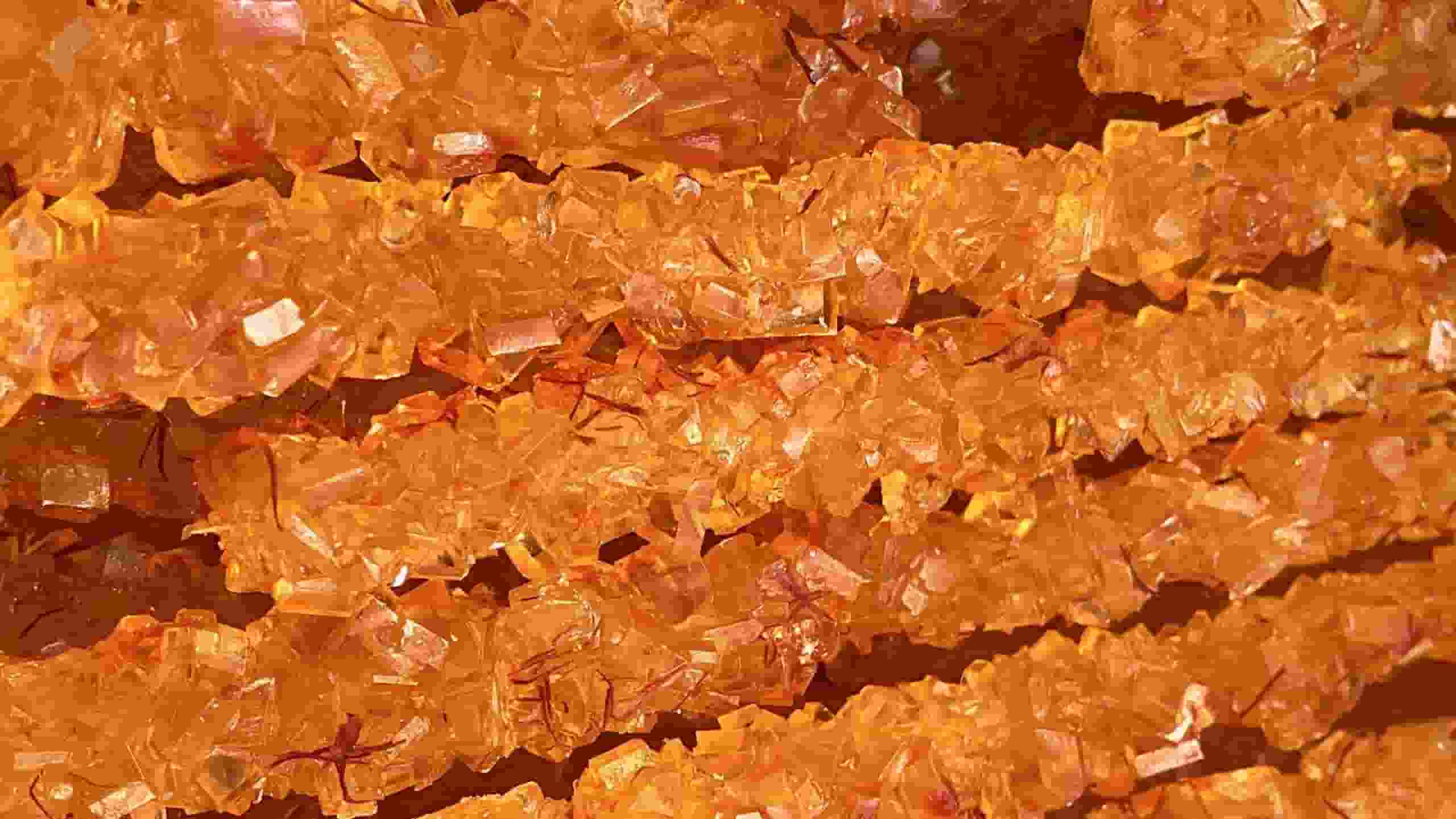 خرید و فروش نبات زعفرانی شاخه ای با شرایط فوق العاده