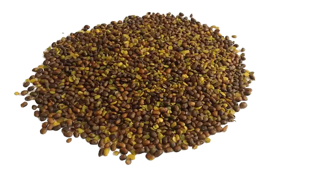 تصویر 2 از خرید مغز پسته تازه + قیمت فروش استثنایی