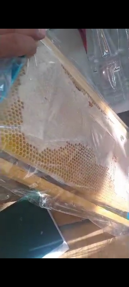 قیمت شگفت انگیز عسل با شان زایگر + فروش استثنایی