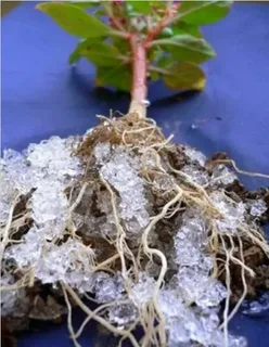 فروش هیدروژل‌ های ترکیبی کشاورزی + قیمت خرید به صرفه