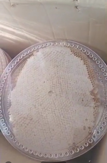 فروش خاص عسل قابی زایگر + قیمت رقابتی