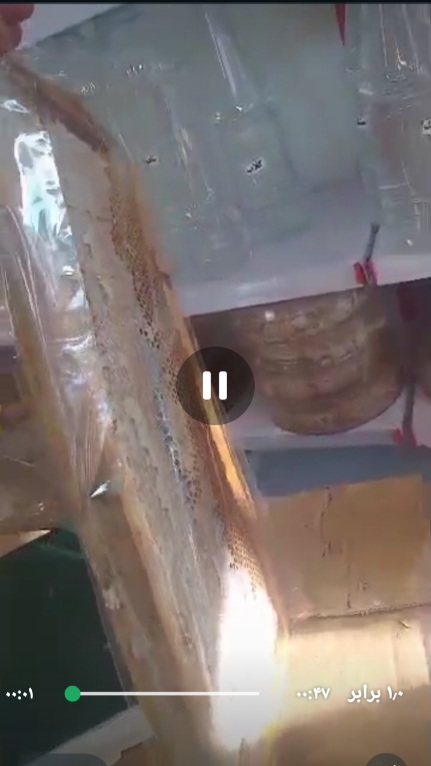 خرید بی دردسر عسل با قاب زایگر + قیمت مقرون به صرفه