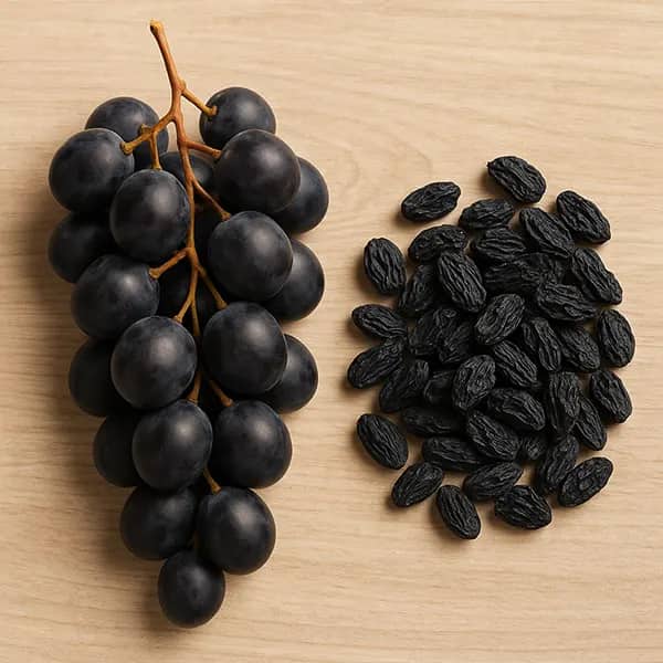 خرید مویز انگور سیاه + قیمت فروش استثنایی