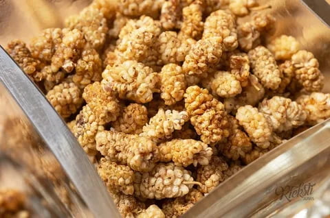 خرید و قیمت توت خشک صادراتی + فروش صادراتی