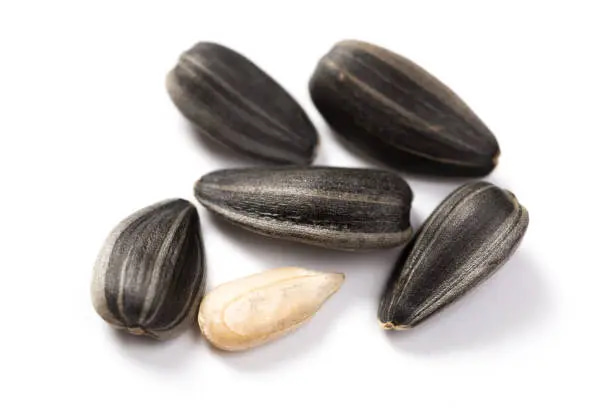 فروش تخمه آفتابگردان فله + قیمت خرید به صرفه