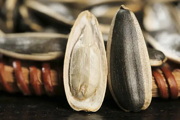 تصویر 3 از قیمت خرید تخمه آفتابگردان فله ای + فروش ویژه