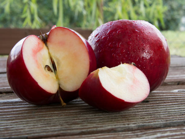 خرید و قیمت سیب قرمز اشنویه + فروش عمده