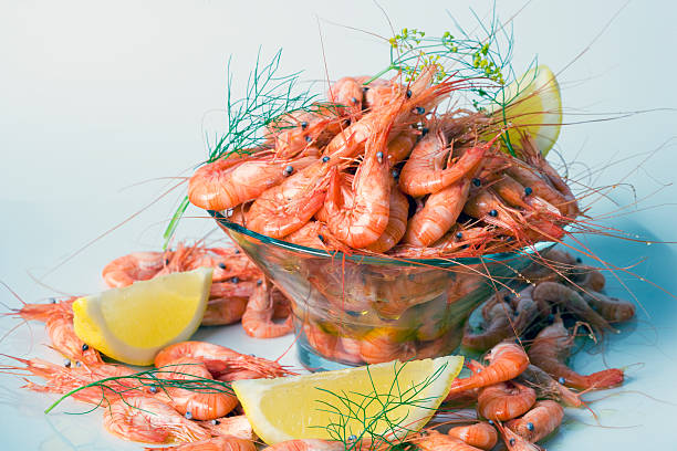 قیمت خرید میگو پلویی با فروش عمده