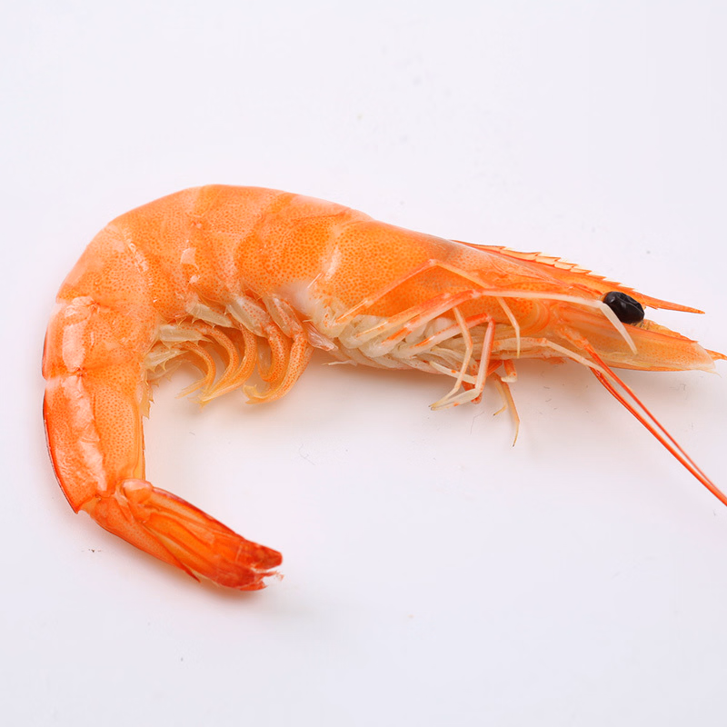 خرید میگو تازه + قیمت فروش استثنایی