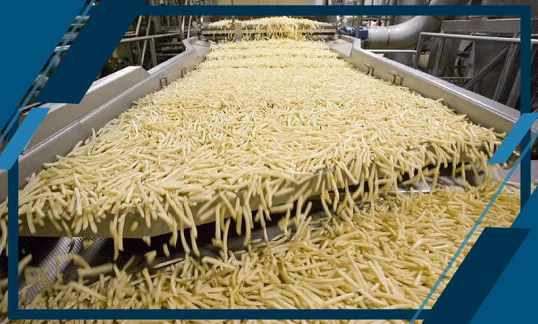 تصویر 1 از کارخانه خلال کن سیب زمینی نصب و راه اندازی + مخصوص بازار داخلی و خارجی