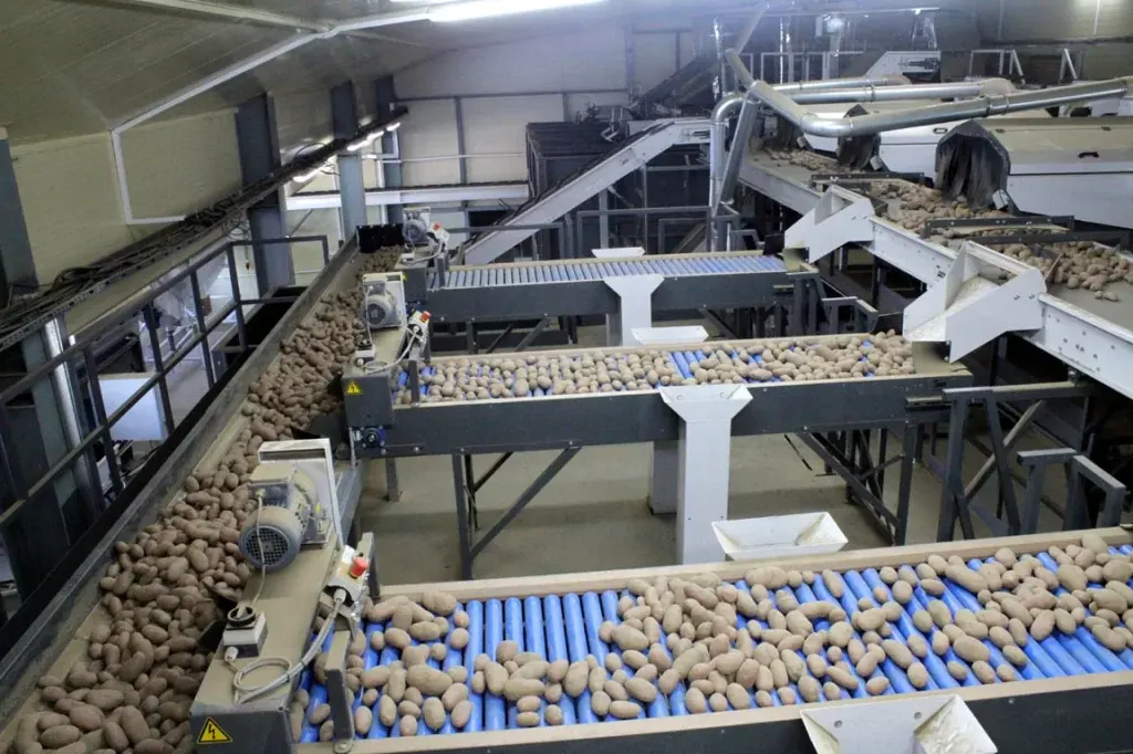 تصویر 2 از کارخانه خلال کن سیب زمینی نصب و راه اندازی + مخصوص بازار داخلی و خارجی