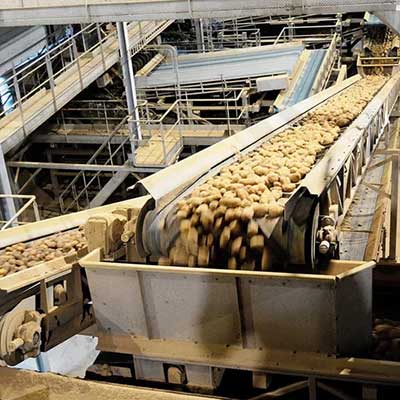 تصویر 3 از کارخانه خلال کن سیب زمینی نصب و راه اندازی + مخصوص بازار داخلی و خارجی