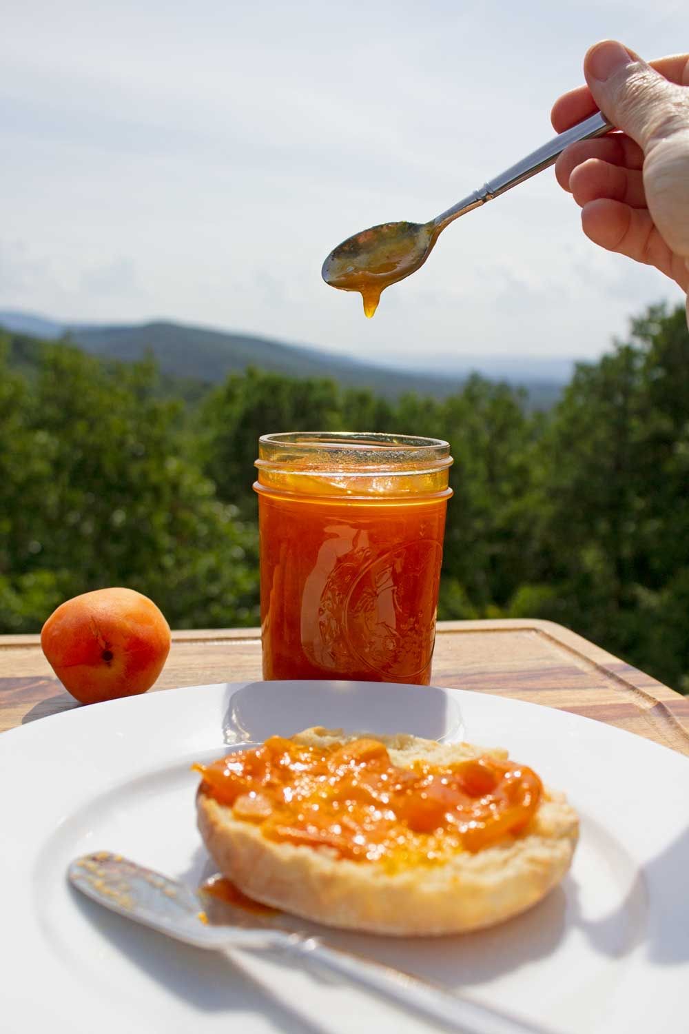 قیمت مربا زردآلو