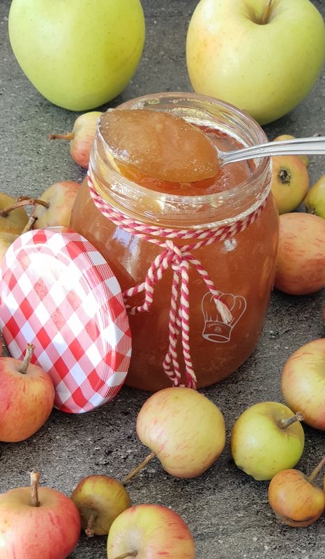 تصویر 4 از خرید و فروش مربا سیب شانا ۵۷۰ گرمی با شرایط فوق العاده از تهران