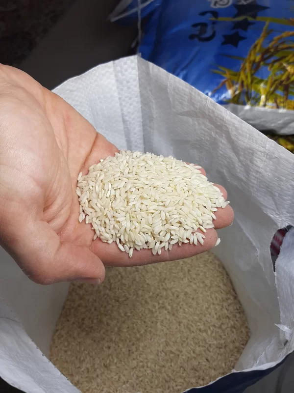 قیمت برنج عنبر بو صادراتی با کیفیت ارزان + خرید عمده