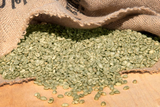 خرید دانه قهوه سبز اصل صادراتی + قیمت فروش استثنایی