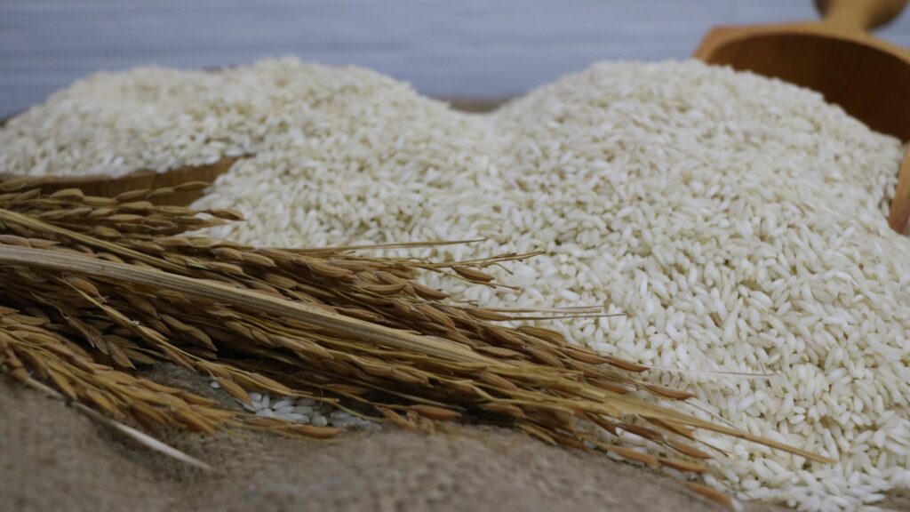 فروش برنج عنبر بو ممتاز + قیمت خرید به صرفه