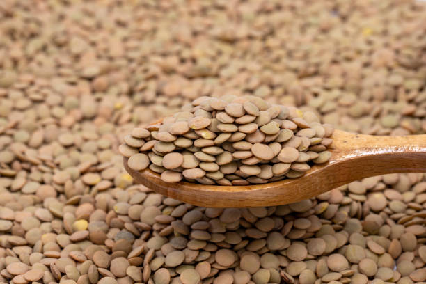 تصویر 3 از خرید عدس تازه + قیمت فروش استثنایی