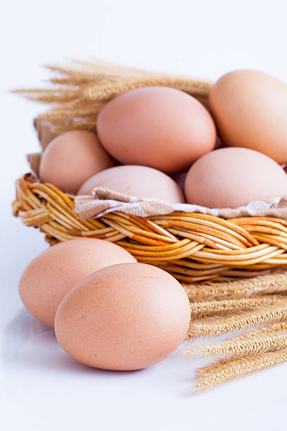 قیمت روز تخم مرغ محلی گیلان