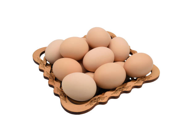 خرید و قیمت انواع تخم مرغ ماشینی