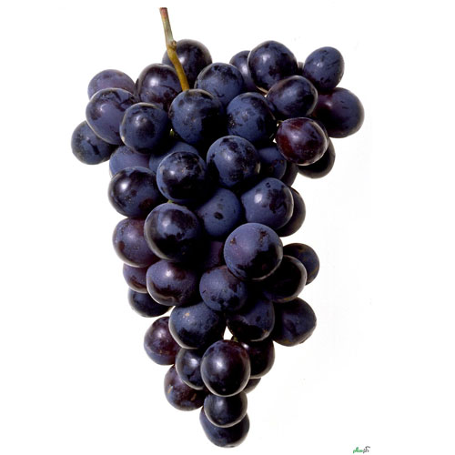 تصویر 4 از خرید انگور سیاه درشت صادراتی + قیمت فروش استثنایی