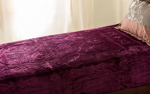 تصویر 3 از قیمت خرید پتو گلبافت گل برجسته ساده + فروش ویژه