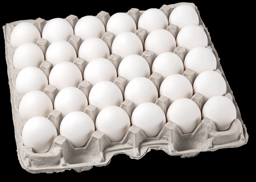 قیمت تخم مرغ امروز با کیفیت ارزان + خرید عمده