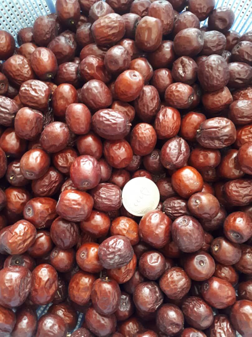 تصویر 5 از قیمت خرید عناب خشک صادراتی + فروش ویژه