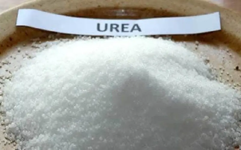 تصویر 3 از قیمت کود اوره با کیفیت ارزان + خرید عمده