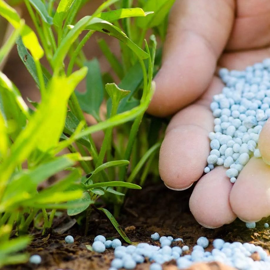 تصویر 4 از خرید و فروش کود اوره با شرایط فوق العاده