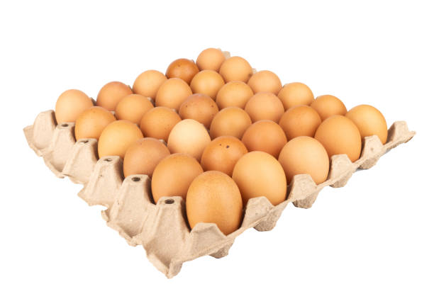 تصویر 2 از خرید شانه تخم مرغ مقوایی + قیمت فروش استثنایی