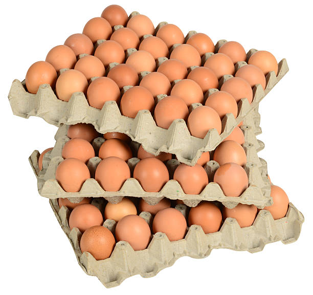 خرید شانه تخم مرغ مقوایی + قیمت فروش استثنایی