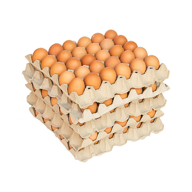 تصویر 1 از خرید شانه تخم مرغ مقوایی + قیمت فروش استثنایی