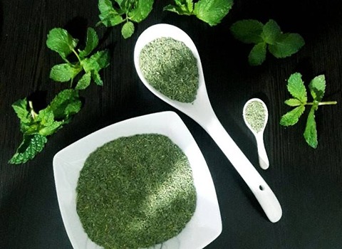 مرکز تولید سبزی نعناع خشک بهداشتی