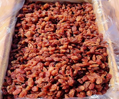 قیمت بسته بندی مویز هسته دار برای ارسال به سرتاسر جهان