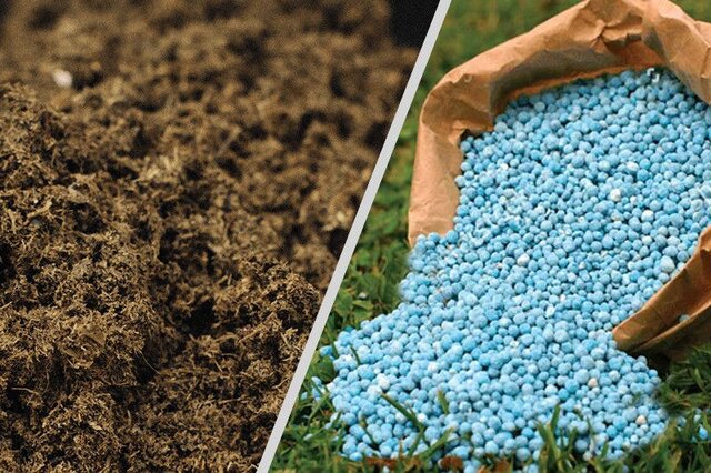 تصویر 3 از قیمت خرید کود اوره عمده به صرفه و ارزان