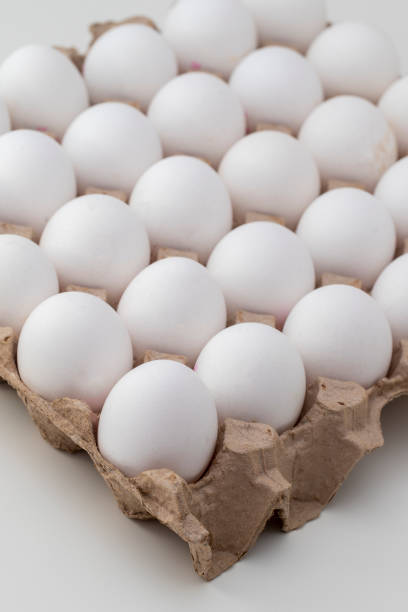 تصویر 4 از فروش شانه تخم مرغ  مقوایی خرده فروش + قیمت خرید به صرفه