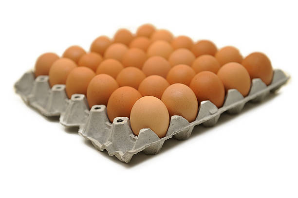 فروش شانه تخم مرغ  مقوایی خرده فروش + قیمت خرید به صرفه