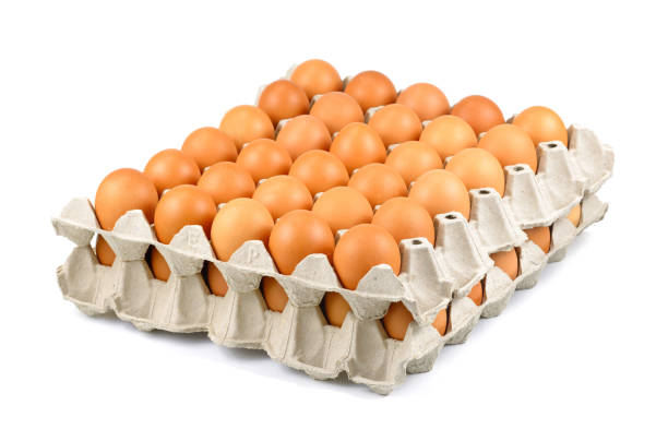 تصویر 3 از فروش شانه تخم مرغ  مقوایی خرده فروش + قیمت خرید به صرفه