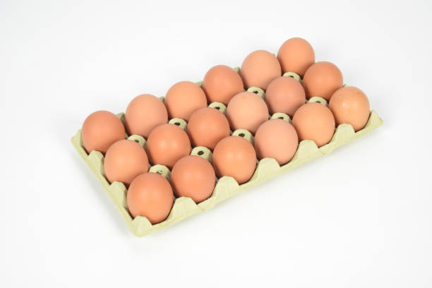 تصویر 1 از فروش شانه تخم مرغ  مقوایی خرده فروش + قیمت خرید به صرفه